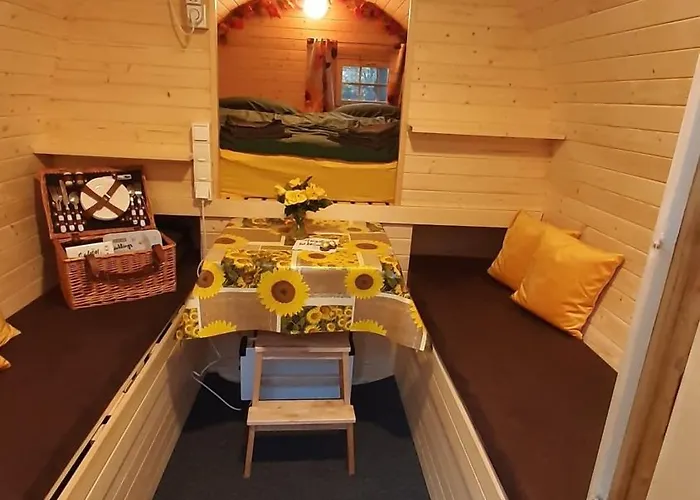 Kuhle Auszeit - Fass Sonnenblume