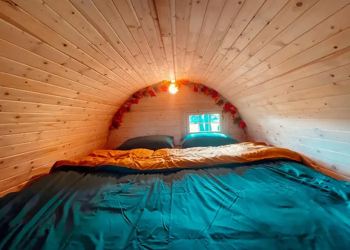 Kuhle Auszeit - Fass Sonnenblume